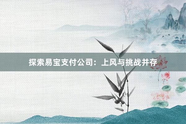 探索易宝支付公司：上风与挑战并存