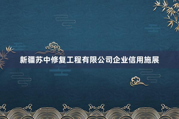 新疆苏中修复工程有限公司企业信用施展